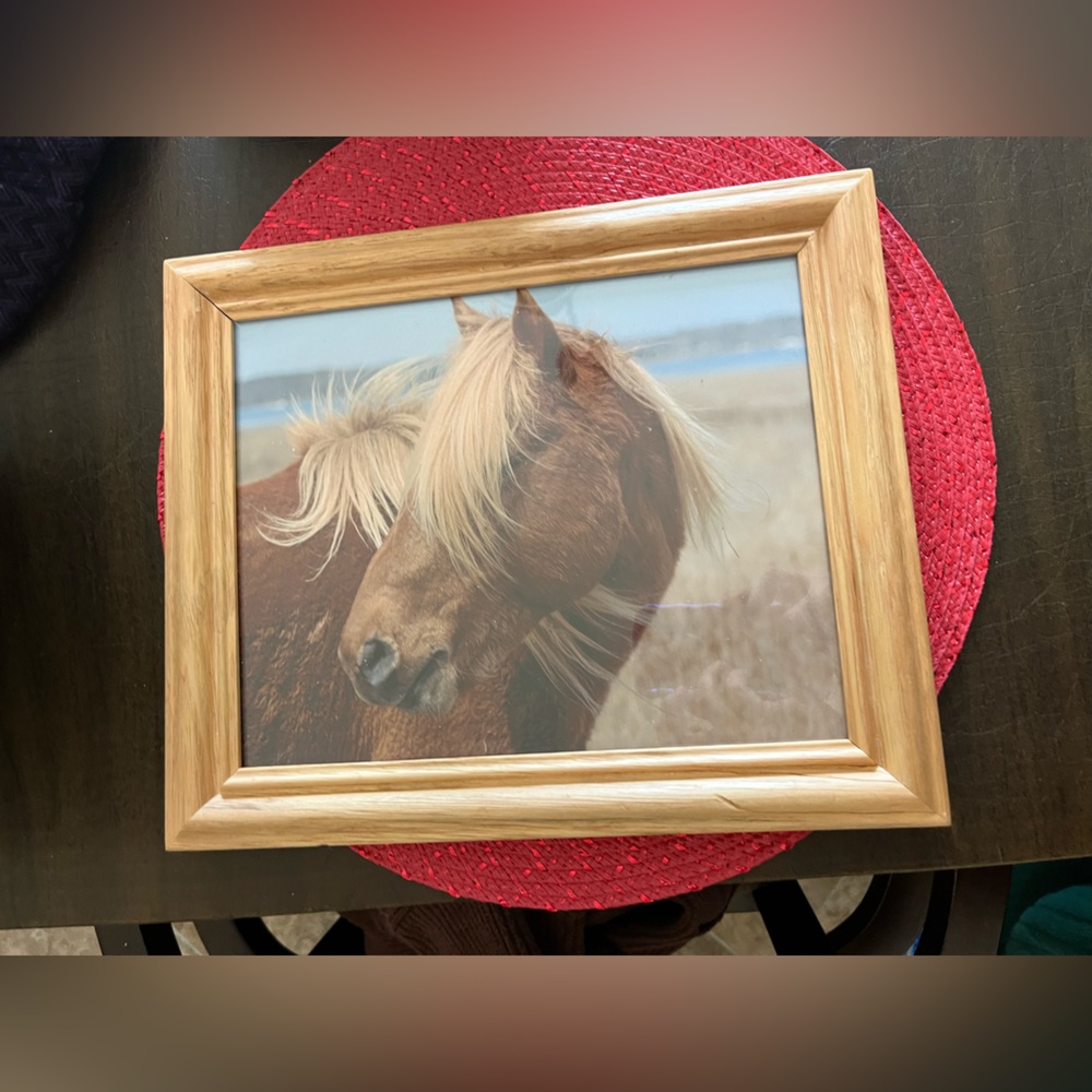 HORSE PICTURE FRAME